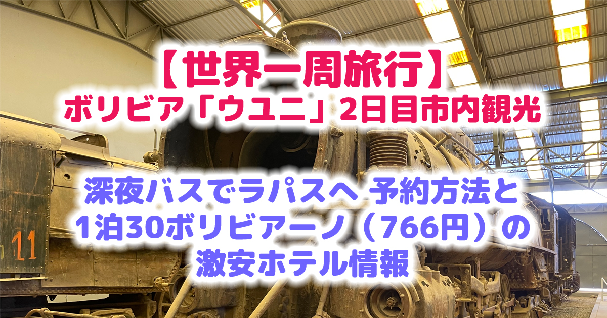 【世界一周旅行】ボリビア ウユニ 2日目は市内観光＆1泊766円のホテルで仮眠＆ラパスへ深夜バスで移動｜11日目