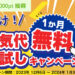 しろくま電気　8000ポイント　1か月無料