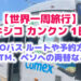 【世界一周旅行】メキシコ カンクン 1日目！空港からのタクシー ADOバス ルートや予約方法｜ATM、ペソへの両替も